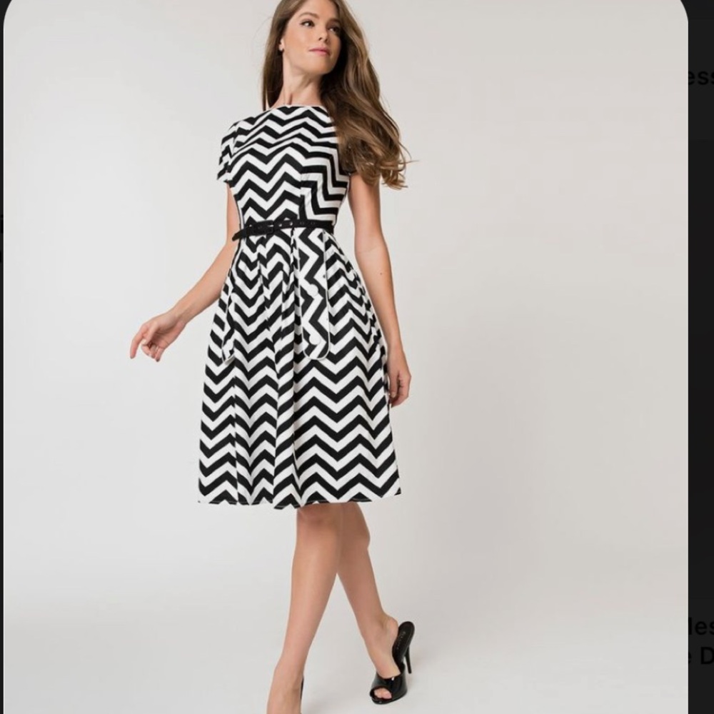NWT Small Unique Vintage 1950s Style
Black & White Chevron Los Feliz Swing Dress